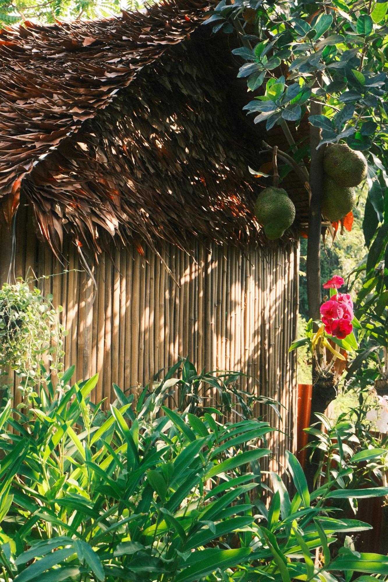 Siem Reap Homesteading II מראה חיצוני תמונה